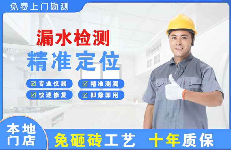 陆河漏水检测精准定位